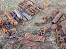 Под Кривым Рогом поисковики нашли артефакты и боеприпасы