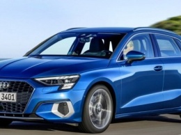 Audi A3 Sportback стал «жертвой лося»?