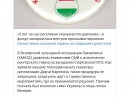 "Пять лет на нас давят". Венгры Закарпатья отреагировали на обыске в своем фонде и проверку СБУ из-за гимна