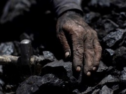 Трагедия на Донбассе: горняк в шахте попал под шток комбайна