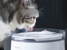 Xiaomi показала диспенсер воды для домашних животных