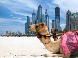 ОАЭ начали выдавать туристические визы гражданам Израиля