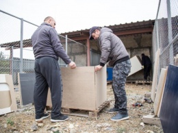 В Крыму бездомным собакам подарили 40 будок