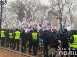 Митингующие под Радой предприниматели подрались с полицией