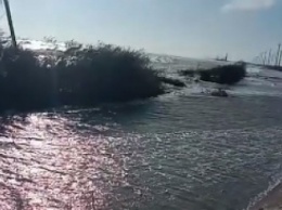 Дорогу на Бирючий затопило море - электроопоры стоят в воде (видео)