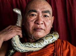 Зачтется. Буддийский монах открыл приют для змей (ФОТО)
