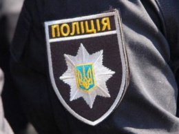На Львовщине полиция взялась за инцидент с избиением учительницей школьника