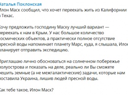 Поклонская позвала Илона Маска помочь Крыму, который превратился в безводный Марс