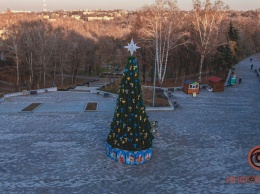 В парке "Зеленый гай" в Днепре поставили три новогодние елочки