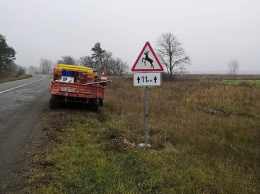 На дорогах у Чернобыльского заповедника установили знаки о диких животных для водителей. Фото
