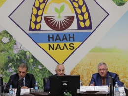 Президенту Национальной академии аграрных наук вручили подозрение во взяточничестве - Венедиктова