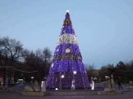 В Запорожье главная городская елка засияла яркими огнями (фото)