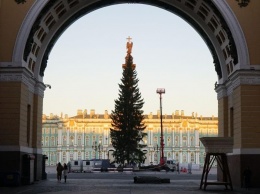 Петербуржцы возмутились облезлой елкой на Дворцовой площади за 13 млн