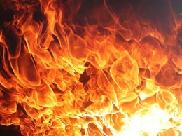 В Запорожской области у многодетной семьи сгорел дом