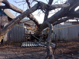 В частном секторе дерево упало на газопровод (ФОТО)