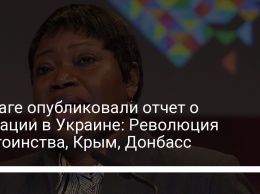 В Гааге опубликовали отчет о ситуации в Украине: Революция достоинства, Крым, Донбасс