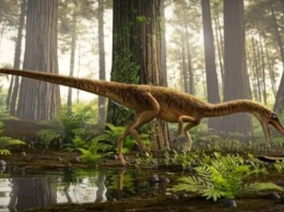 Ученые спроектировали облик динозавра, живущего 230 млн лет назад