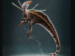 В Бразилии найдены останки динозавра с меховой гривой