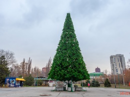 В Днепре в парке Глобы начали собирать елочку