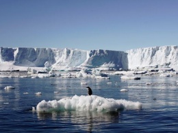Ученые зафиксировали порядка 30 тыс землетрясений в Антарктиде с конца лета