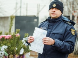 Спасатели из ГоСЧС напомнили правила безопасной установки новогодней елки