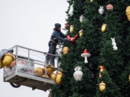 На елке в Киеве установили звезду, вместо шляпы: сколько она стоит