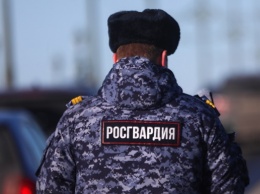 Росгвардия будет помогать белорусской милиции в "борьбе с экстремизмом"