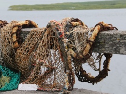 Керченскому рыбаку-браконьеру дали два года условно