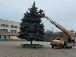 В Запорожской области украли почти все гирлянды с главной елки