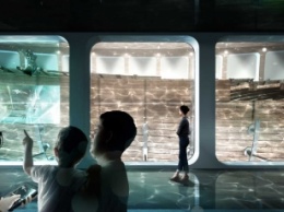 В Нидерландах останки корабля, который затонул в 1749 году, превратят в подводный музей: фото