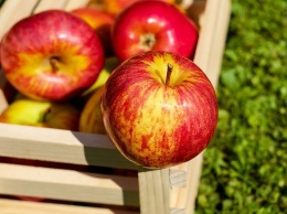 В Красногвардейском районе задержали пьяного водителя с полной машиной ворованных яблок