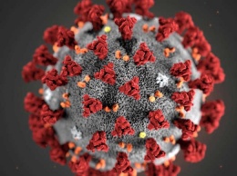 Новый штамм коронавируса в Великобритании может распространяться быстрее