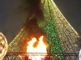 В Киеве зажгли новогоднюю елку: не обошлось без пожара, видео