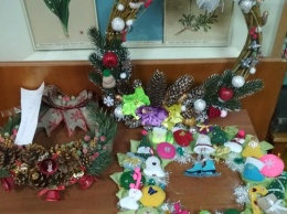 На Днепропетровщине юннаты провели конкурс новогодних украшений из природных материалов