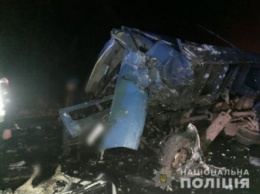 На трассе Киев-Чоп произошло смертельное ДТП с пятью автомобилями. Фото и видео