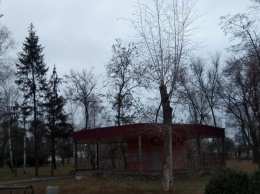 Жители окраины Кривого Рога - города без окраин просят восстановить местный парк