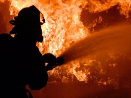 В Запорожье на пожаре спасли двух женщин