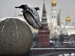 Россия вручила ноты некоторым послам ЕС и расширила свои «санкции»