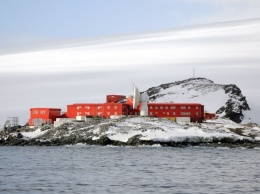 В Антарктиде выявили первые случаи заражения коронавирусом