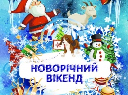 В Днепровском государственном цирке начинается новогодняя программа «Новогодний уикенд»