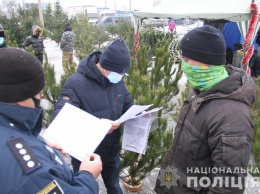 В Харькове полиция проверяет законность торговли новогодними елками