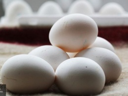 Ученые обнаружили взаимосвязь между употреблением яиц и долголетием