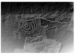 В Хабаровском крае обнаружили петроглиф с изображением лося