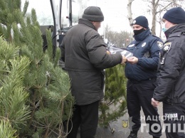 В Николаеве полиция пошла на рынки за чипированными елками. Что нашли? (ФОТО)