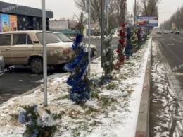 Зацените - в Мелитополе один из супермаркетов декорировал туи в новогодние «шубы» (фото)