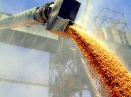 Украина снизила экспорт зерна на 15%