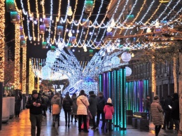 Вот так красота: улицы Короленко и Яворницкого украсили новогодними иллюминациями