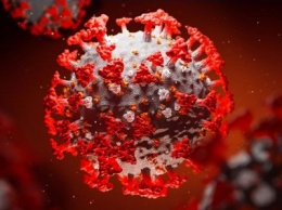 Получено первое изображение белковой структуры коронавируса