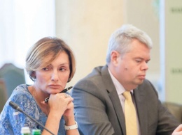 Председатель Совета НБУ назвал иски Рожковой и Сологуба "демаршем"
