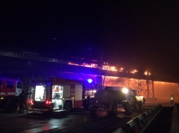В Николаеве крупный пожар на зерновом терминале